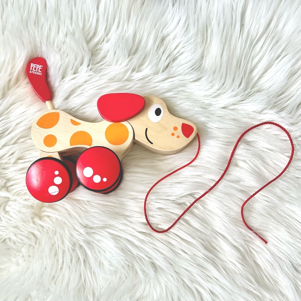 Pepe Pull Along Wood Toy